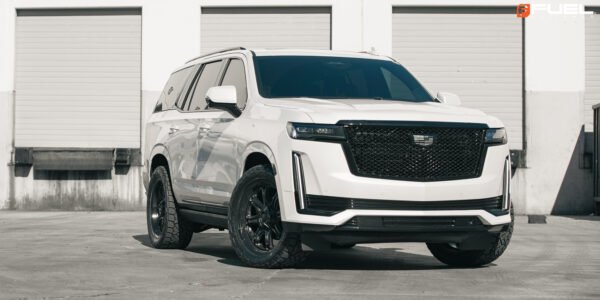 Darkstar Escalade 20 gal 9929